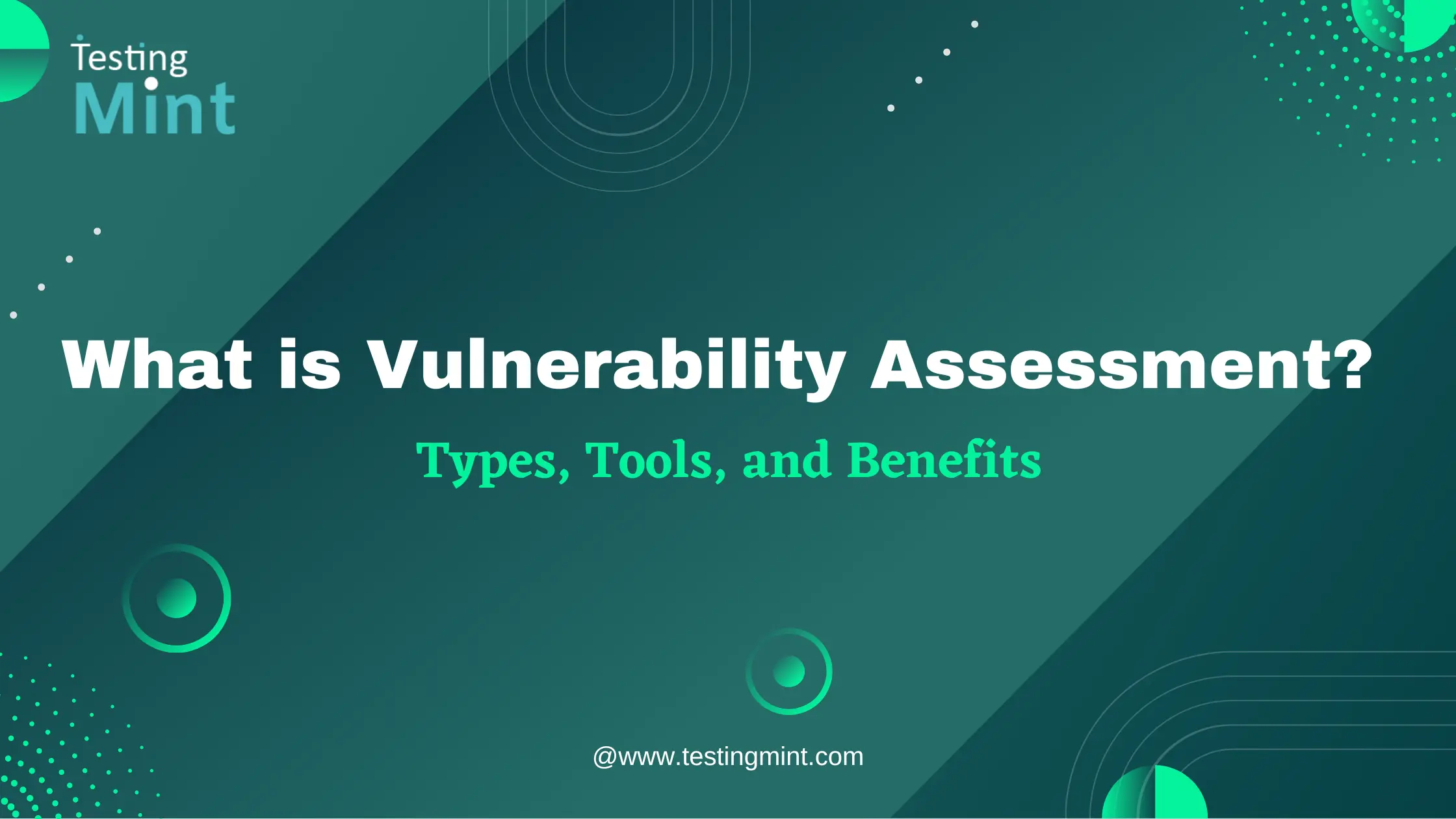 Vulnerability Assessment - testingmint.com