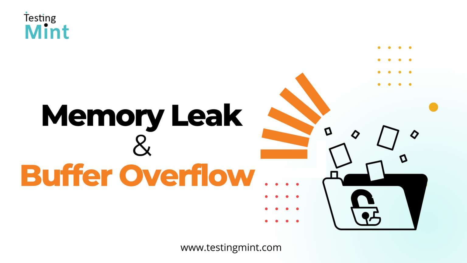 Memory Leak and Buffer Overflow - TestingMint